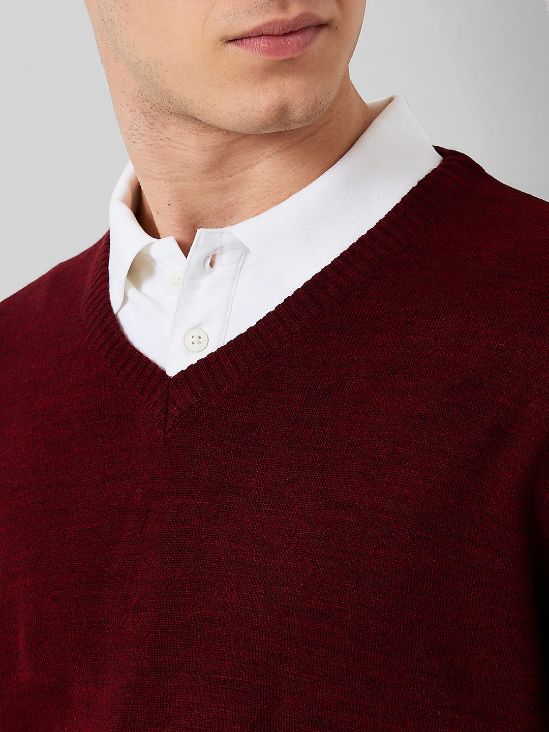 Park Avenue Men Blue Structure Regular Fit Acro Blend Full Sleeve V Neck Collar Sweater - Image 5