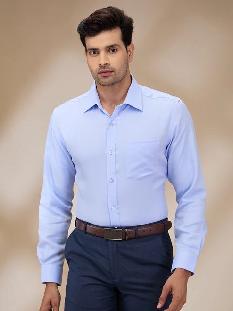 Park Avenue Men Blue Structure Regular Fit Cotton Shirt