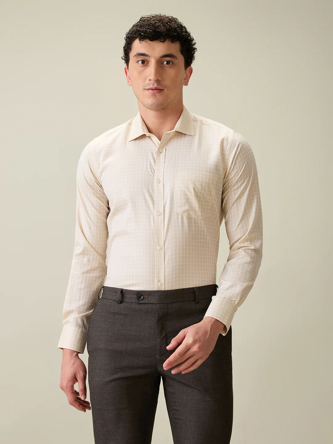 Park Avenue Men Brown Checks Slim Fit Cotton Blend Formal Shirt