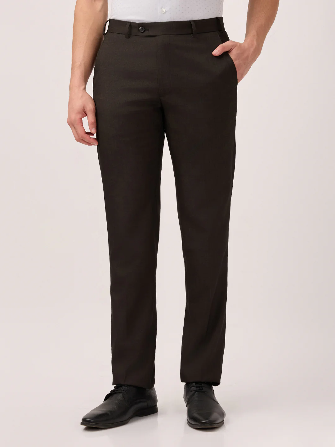 Park Avenue Men Brown Solid Regular Fit Polyester Blend Trouser