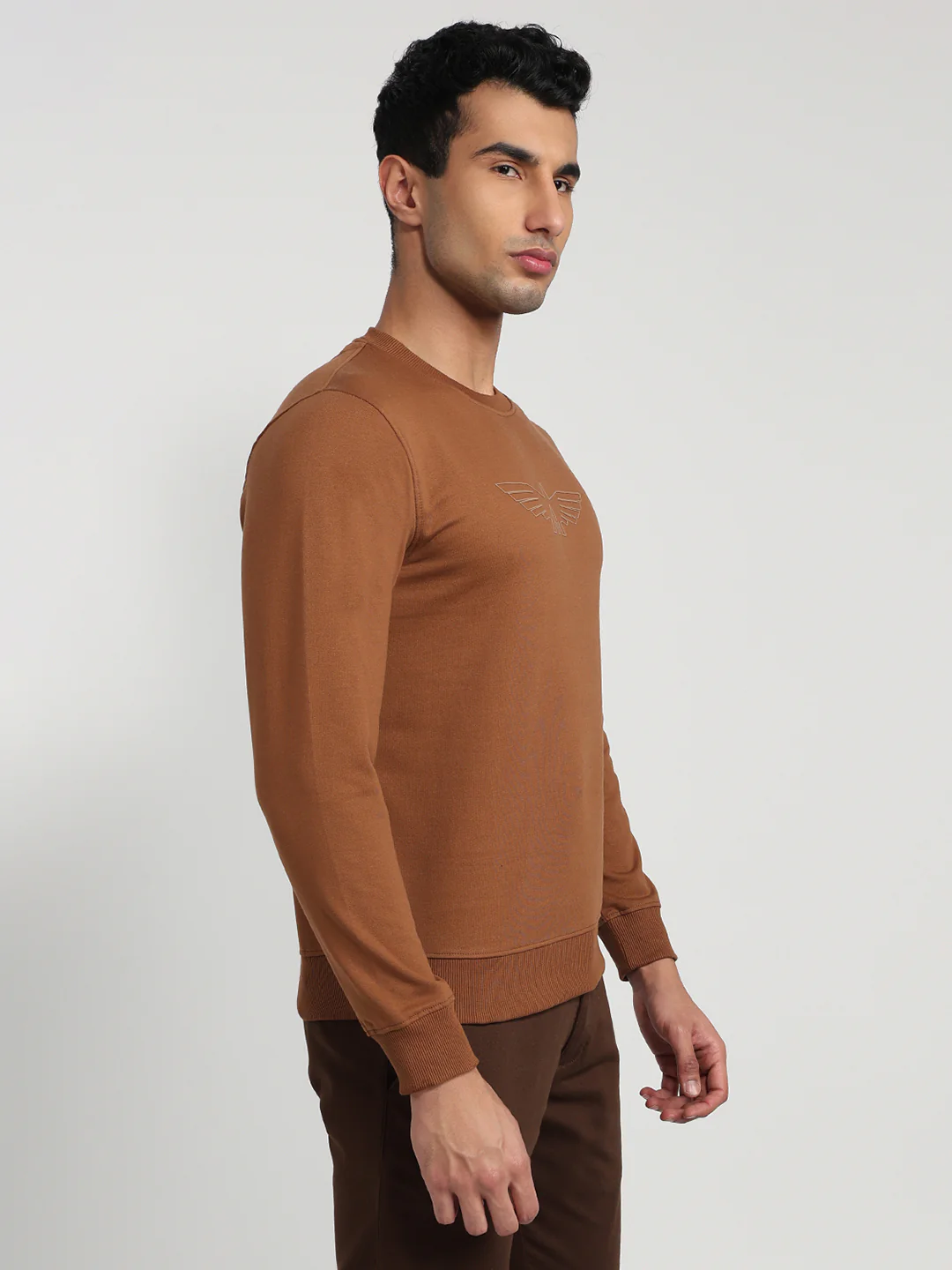 Park Avenue Men Brown Solid Slim Fit Cotton Blend Sweatshirt - Image 3
