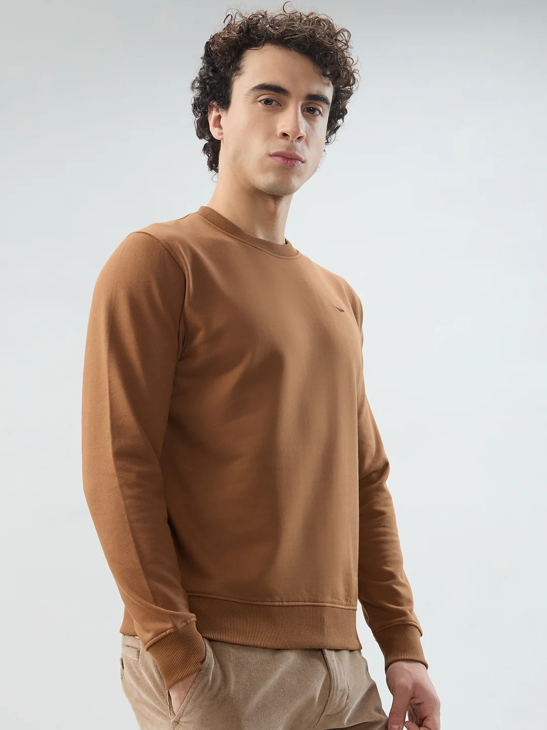 Park Avenue Men Brown Solid Slim Fit Cotton Blend Sweatshirt - Image 2