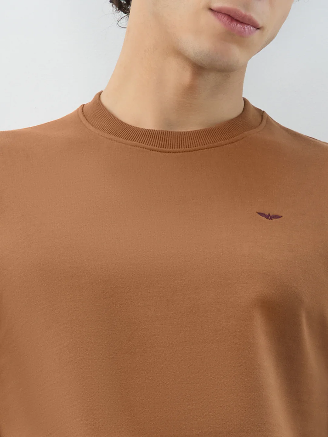 Park Avenue Men Brown Solid Slim Fit Cotton Blend Sweatshirt - Image 6