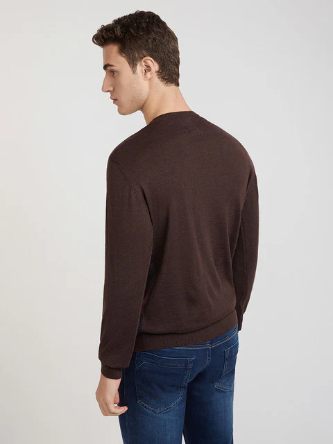 Park Avenue Men Brown Stripe Regular Acrylic Blend Full Sleeve Sweater - Image 4