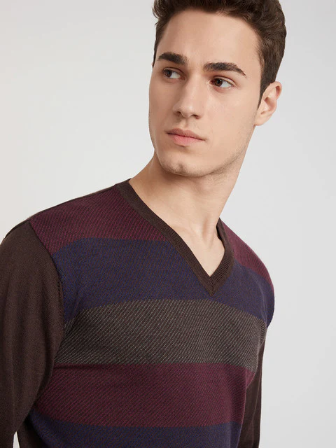 Park Avenue Men Brown Stripe Regular Acrylic Blend Full Sleeve Sweater - Image 6