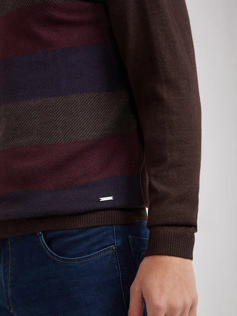 Park Avenue Men Brown Stripe Regular Acrylic Blend Full Sleeve Sweater - Image 7