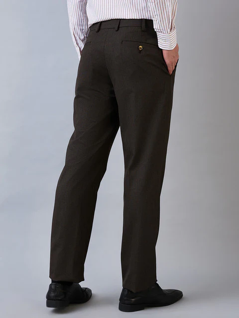 Park Avenue Men Brown Stripe Regular Fit Polyester Blend Trouser - Image 3