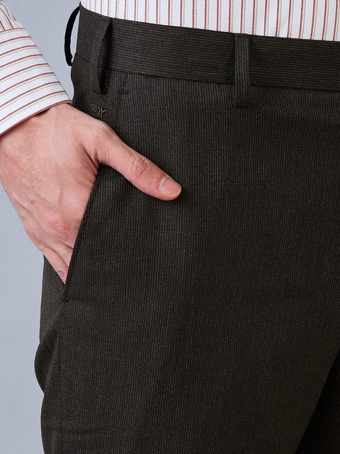 Park Avenue Men Brown Stripe Regular Fit Polyester Blend Trouser - Image 5
