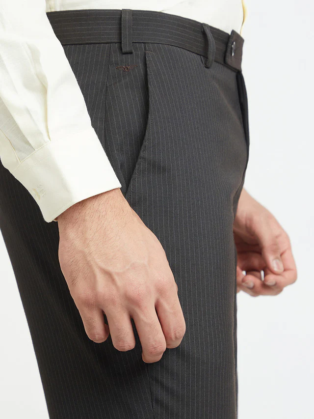 Park Avenue Men Brown Striped Regular Fit Trouser - Image 6
