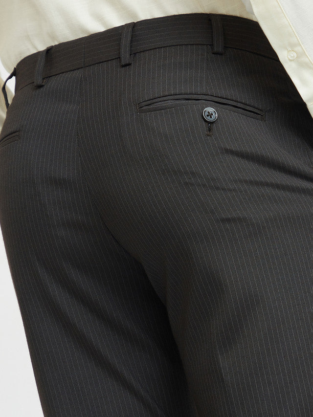 Park Avenue Men Brown Striped Regular Fit Trouser - Image 7