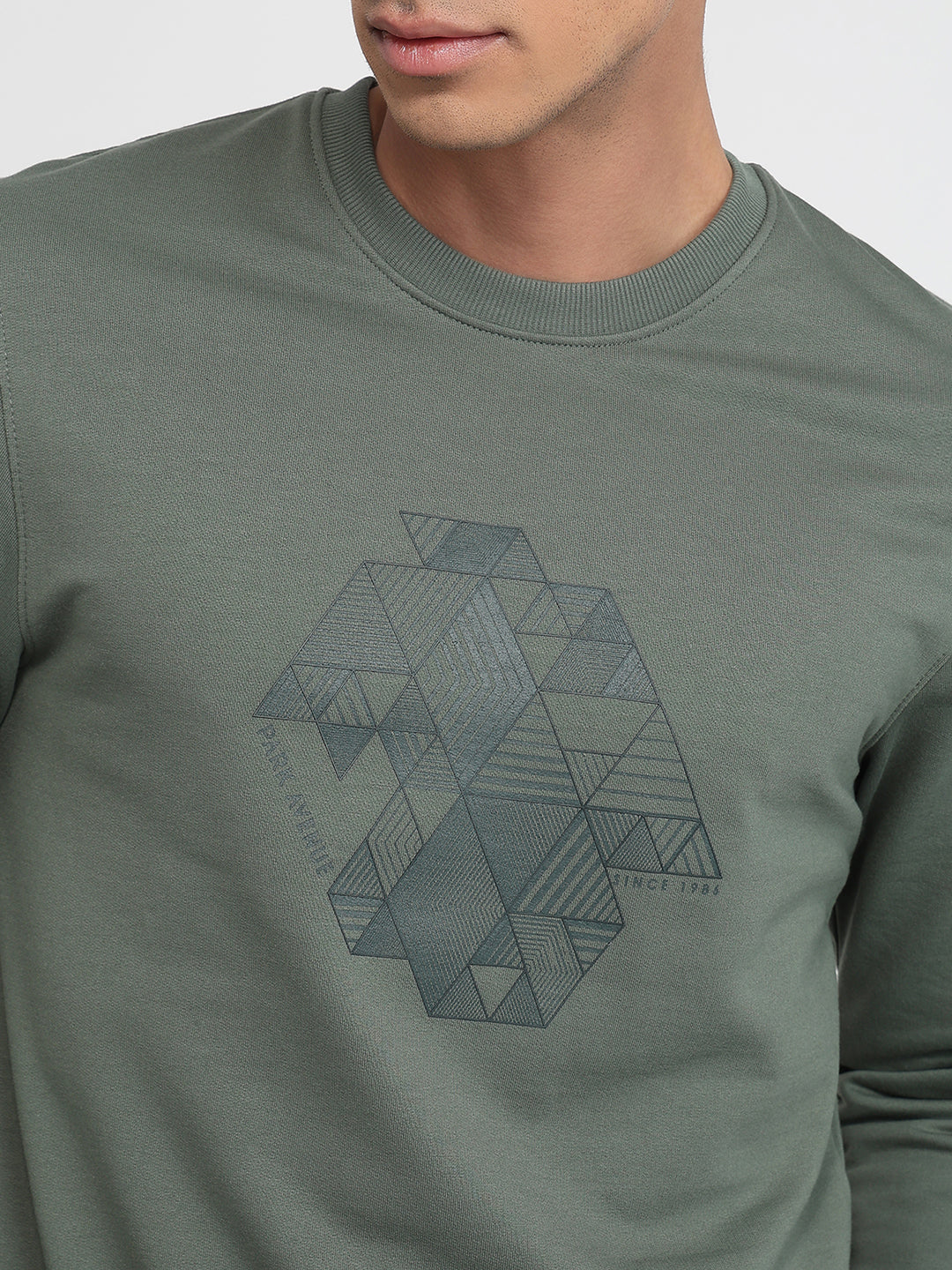 Park Avenue Men Green Print Slim Fit Cotton Blend Sweatshirt - Image 6