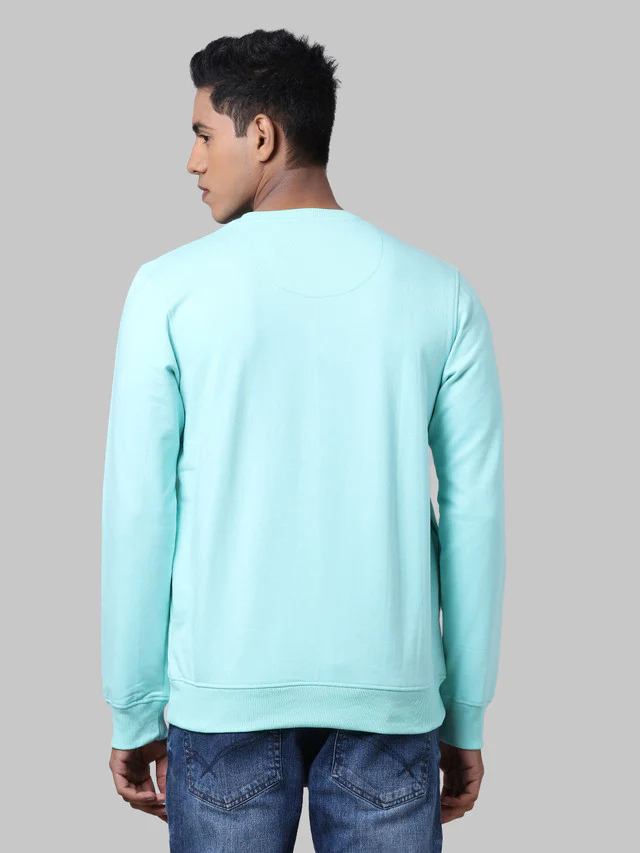 Park Avenue Men Green Printed Slim Fit Full Sleeve Round Neck Sweatshirt - Image 4