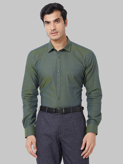 Park Avenue Men Green Slim Fit Solid Shirt