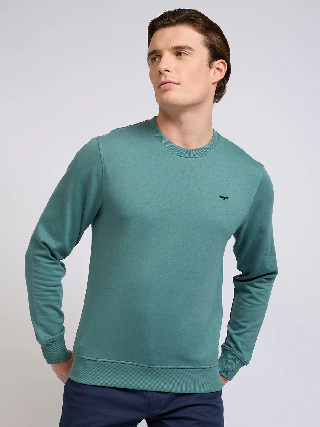 Park Avenue Men Green Solid Slim Fit Cotton Blend Round Neck Collar Sweatshirt