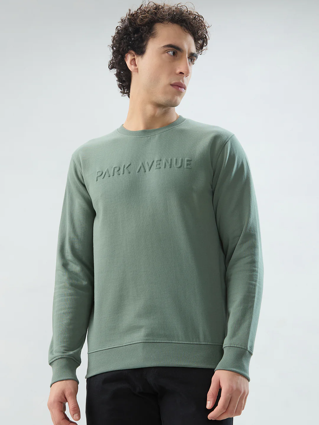 Park Avenue Men Green Solid Slim Fit Cotton Blend Sweatshirt