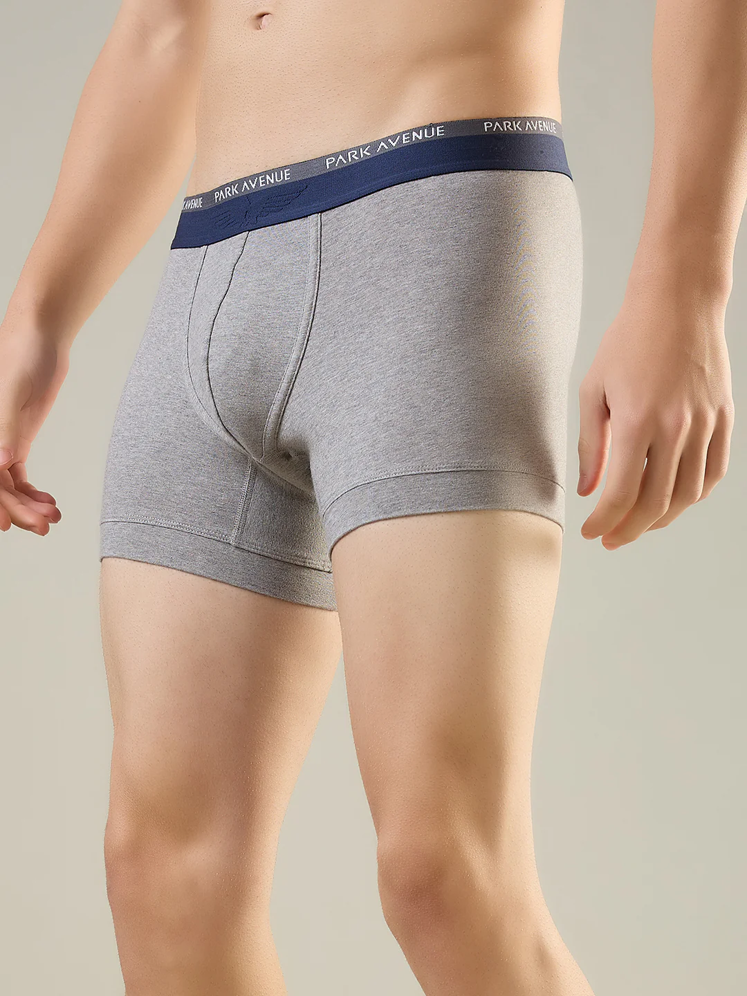 Park Avenue Men Grey Cotton Blend Trunk - Image 4