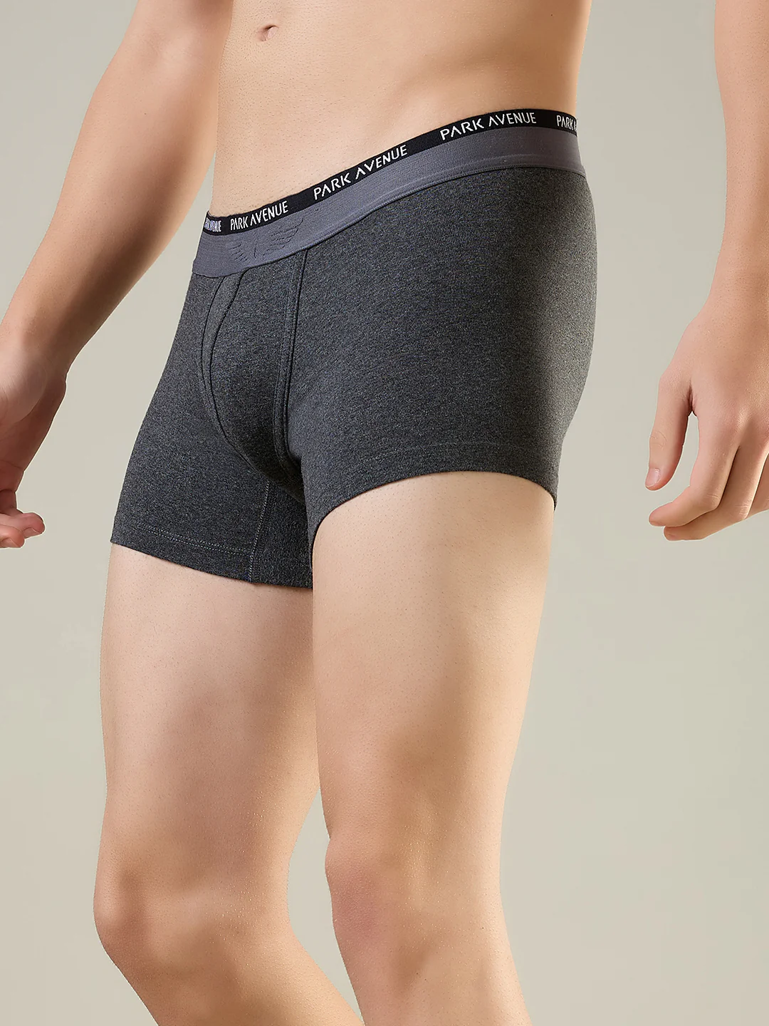 Park Avenue Men Grey Cotton Blend Trunk - Image 4