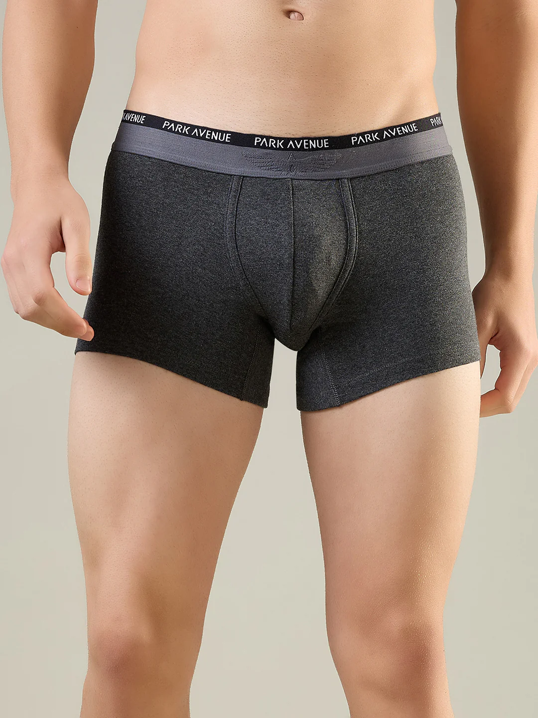 Park Avenue Men Grey Cotton Blend Trunk - Image 2