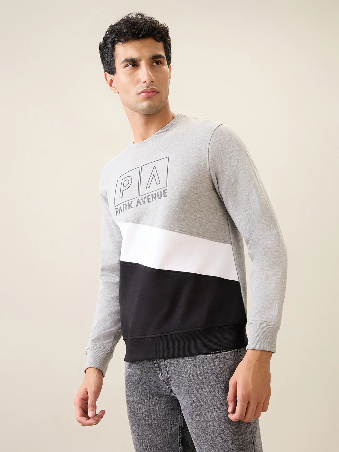 Park Avenue Men Grey Cut & Sew Slim Fit Cotton Blend Crew Neck Collar Sweatshirt - Image 2