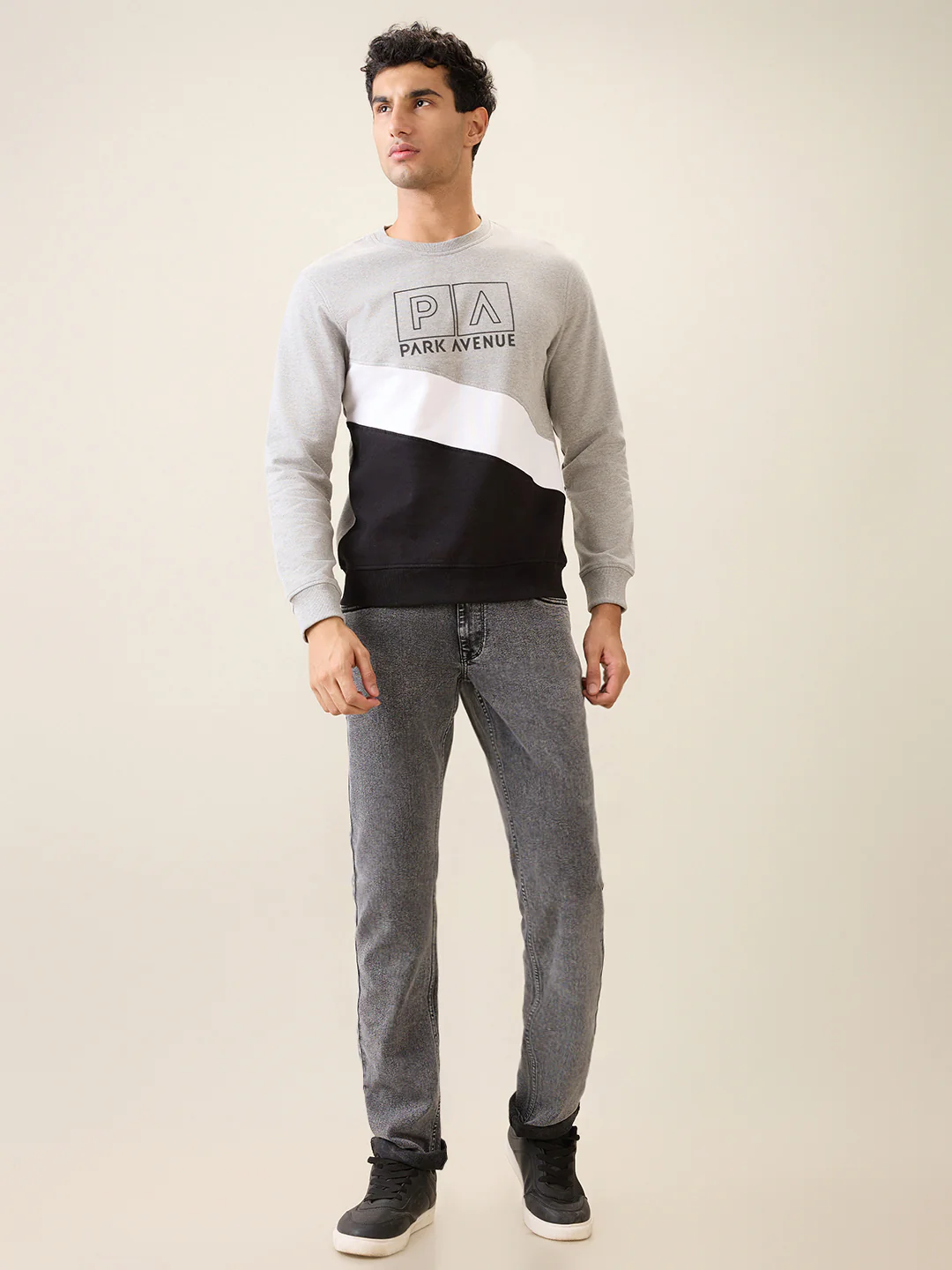 Park Avenue Men Grey Cut & Sew Slim Fit Cotton Blend Crew Neck Collar Sweatshirt - Image 5