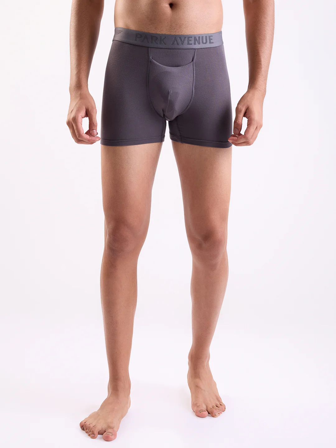 Park Avenue Men Grey Modal Blend Trunk