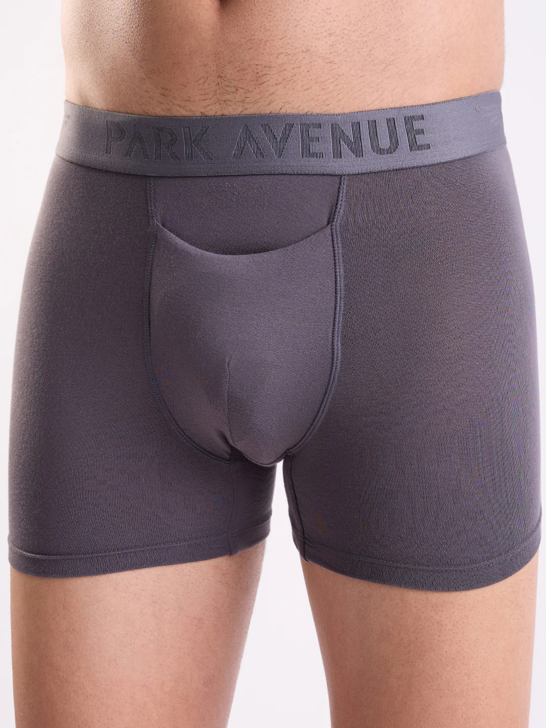 Park Avenue Men Grey Modal Blend Trunk - Image 6