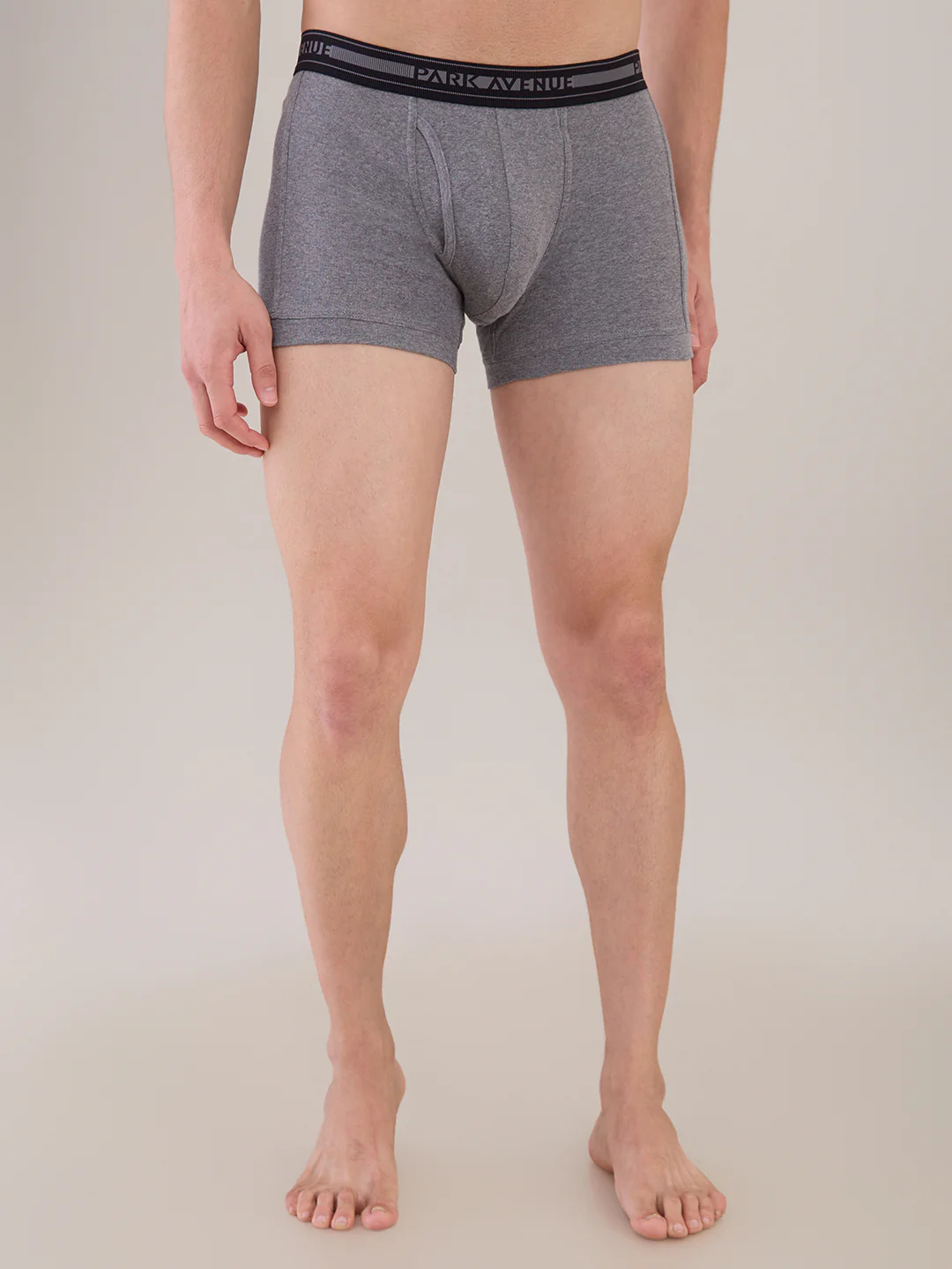 Park Avenue Men Grey Nylon Blend Trunk