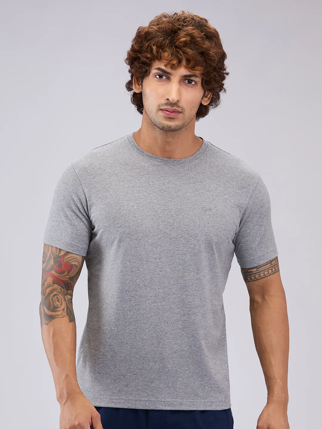 Park Avenue Men Grey Regular Fit Cotton Blend T-Shirt