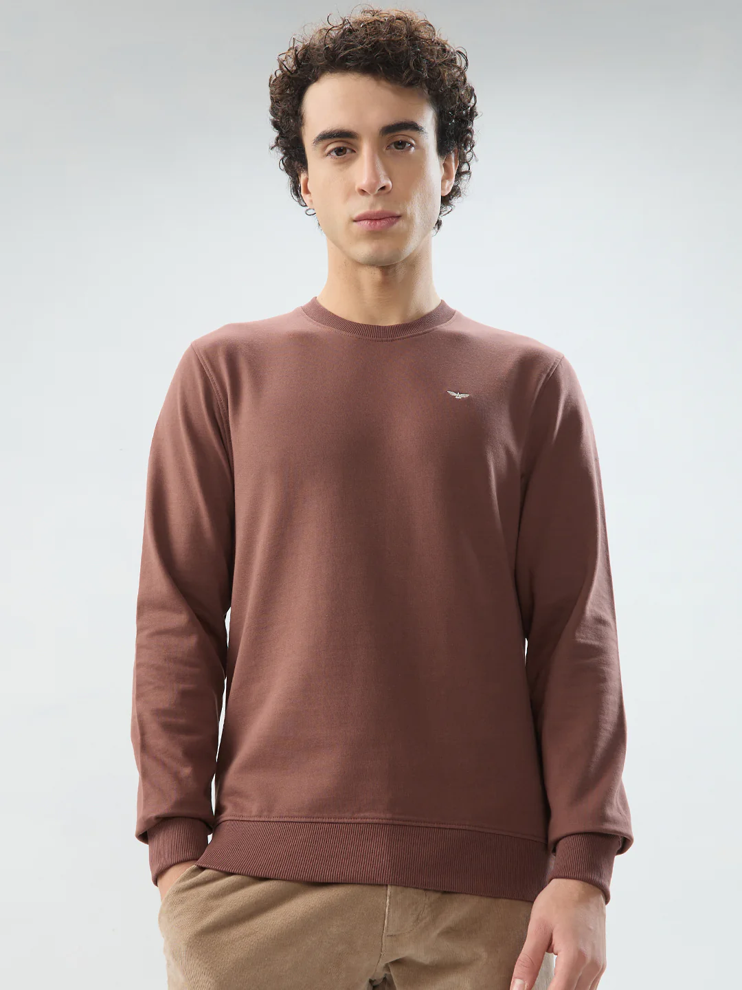 Park Avenue Men Khaki Solid Slim Fit Cotton Blend Sweatshirt