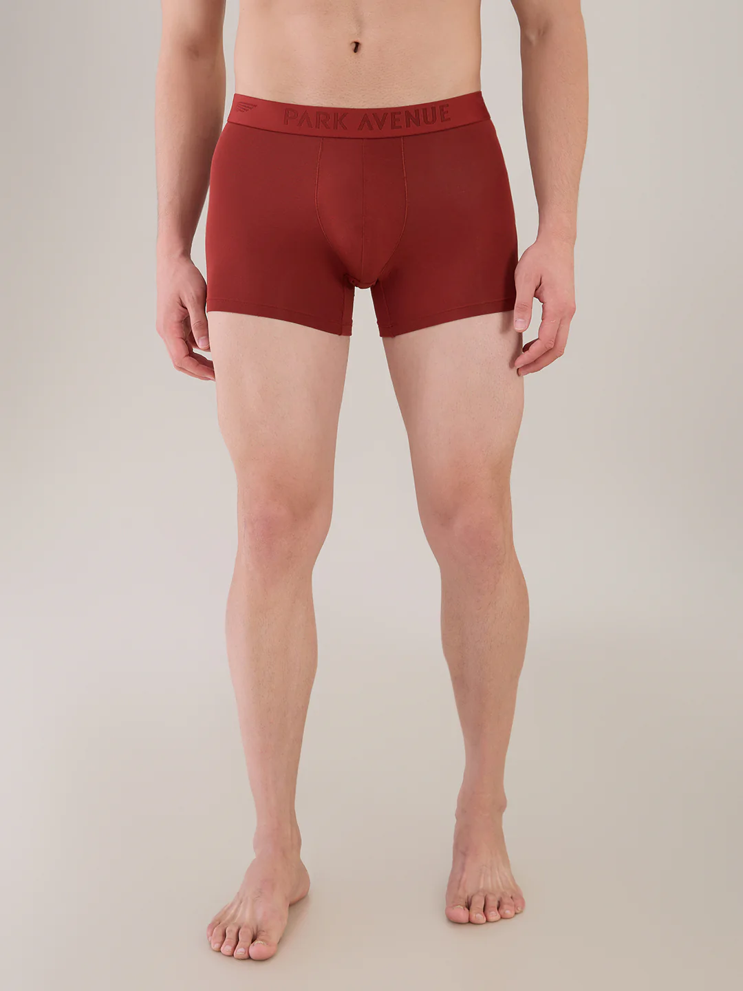 Park Avenue Men Marron Modal Blend Trunk