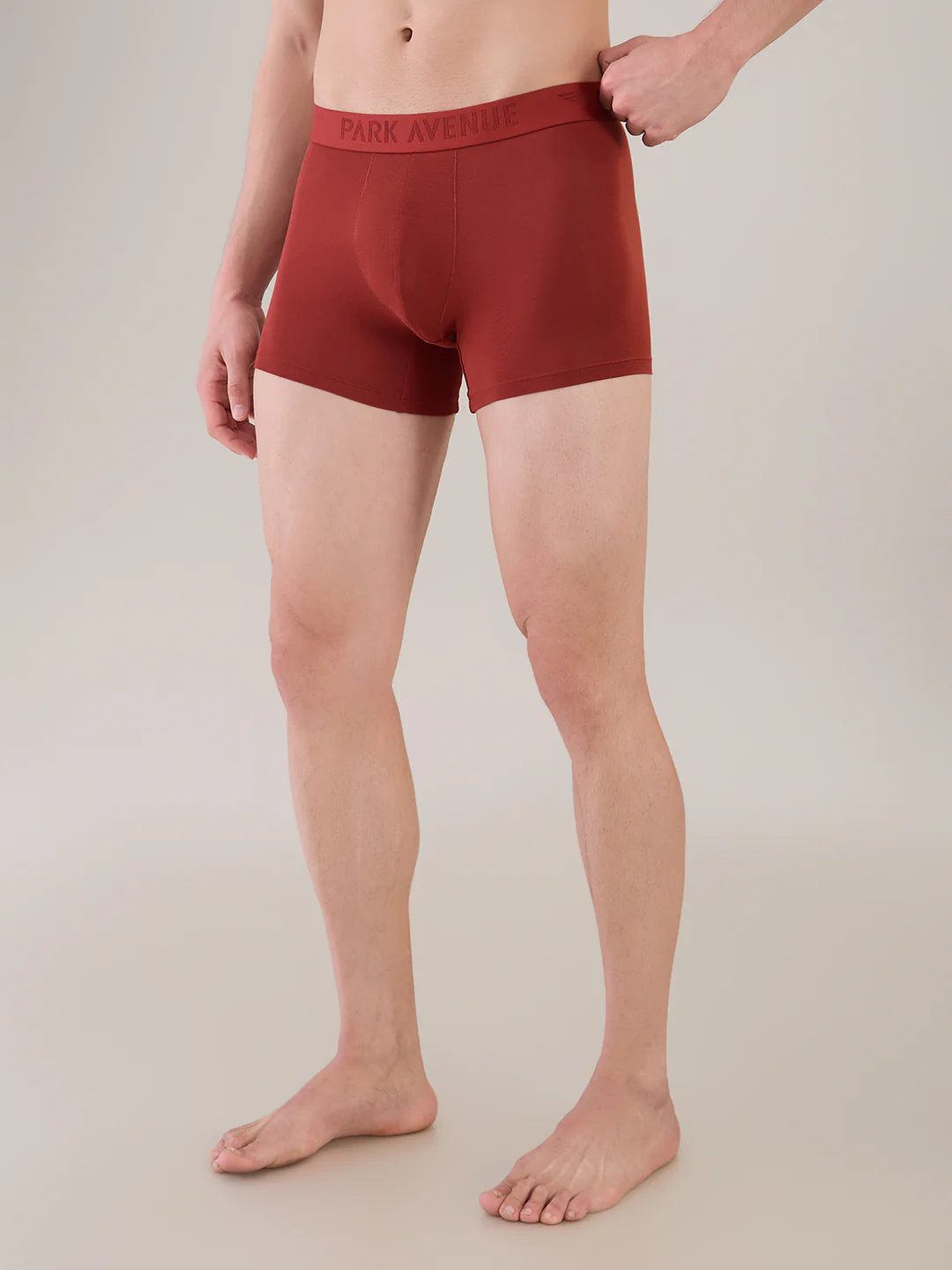 Park Avenue Men Marron Modal Blend Trunk - Image 2