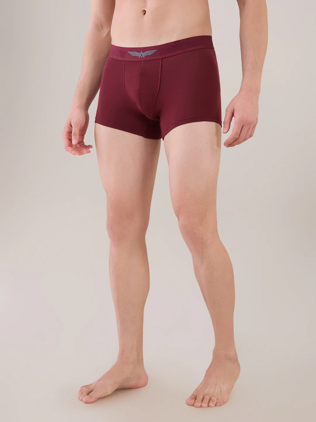 Park Avenue Men Marron Sup Blend Trunk - Image 2