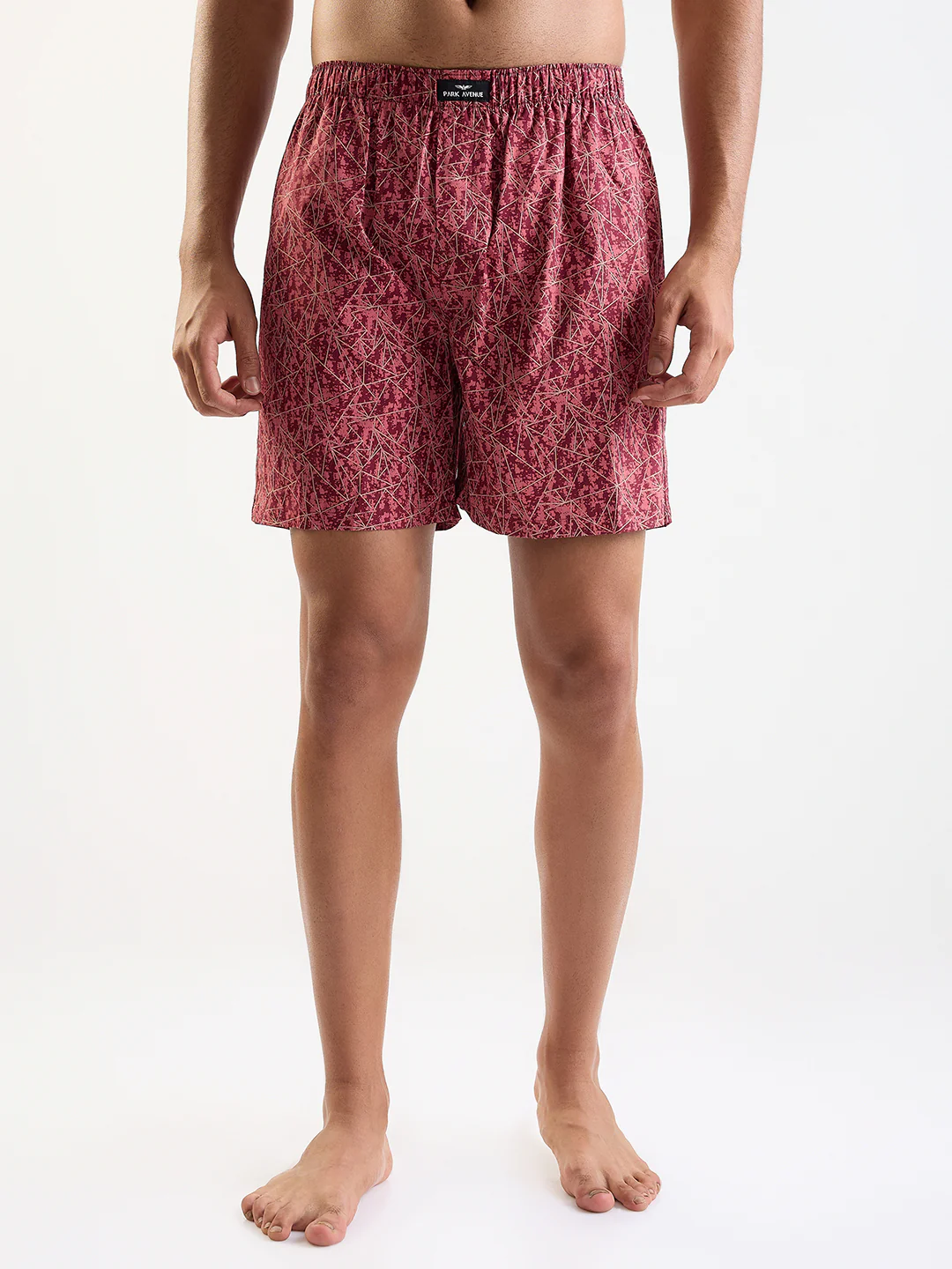 Park Avenue Men Multi-Colour Cotton Boxer Shorts Pack of 2 - Image 5