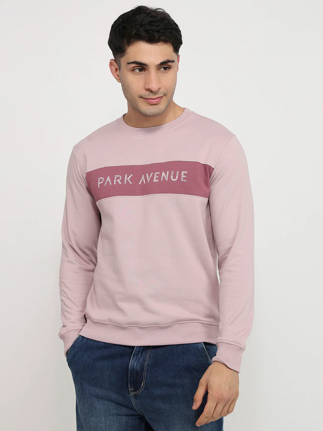 Park Avenue Men Purple Cut & Sew Slim Fit Cotton Blend Sweatshirt