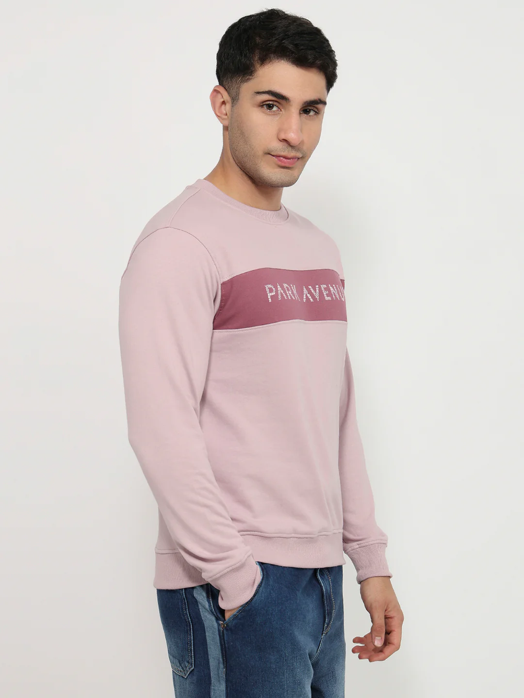 Park Avenue Men Purple Cut & Sew Slim Fit Cotton Blend Sweatshirt - Image 3