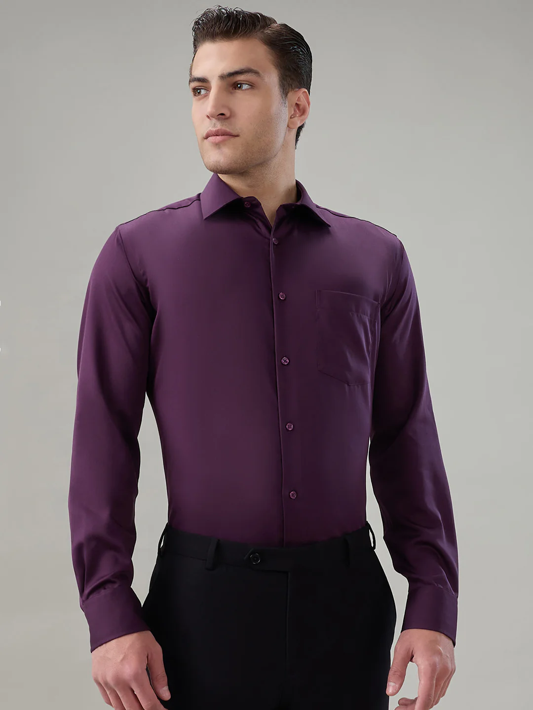 Park Avenue Men Purple Solid Regular Fit Cotton Formal Shirt