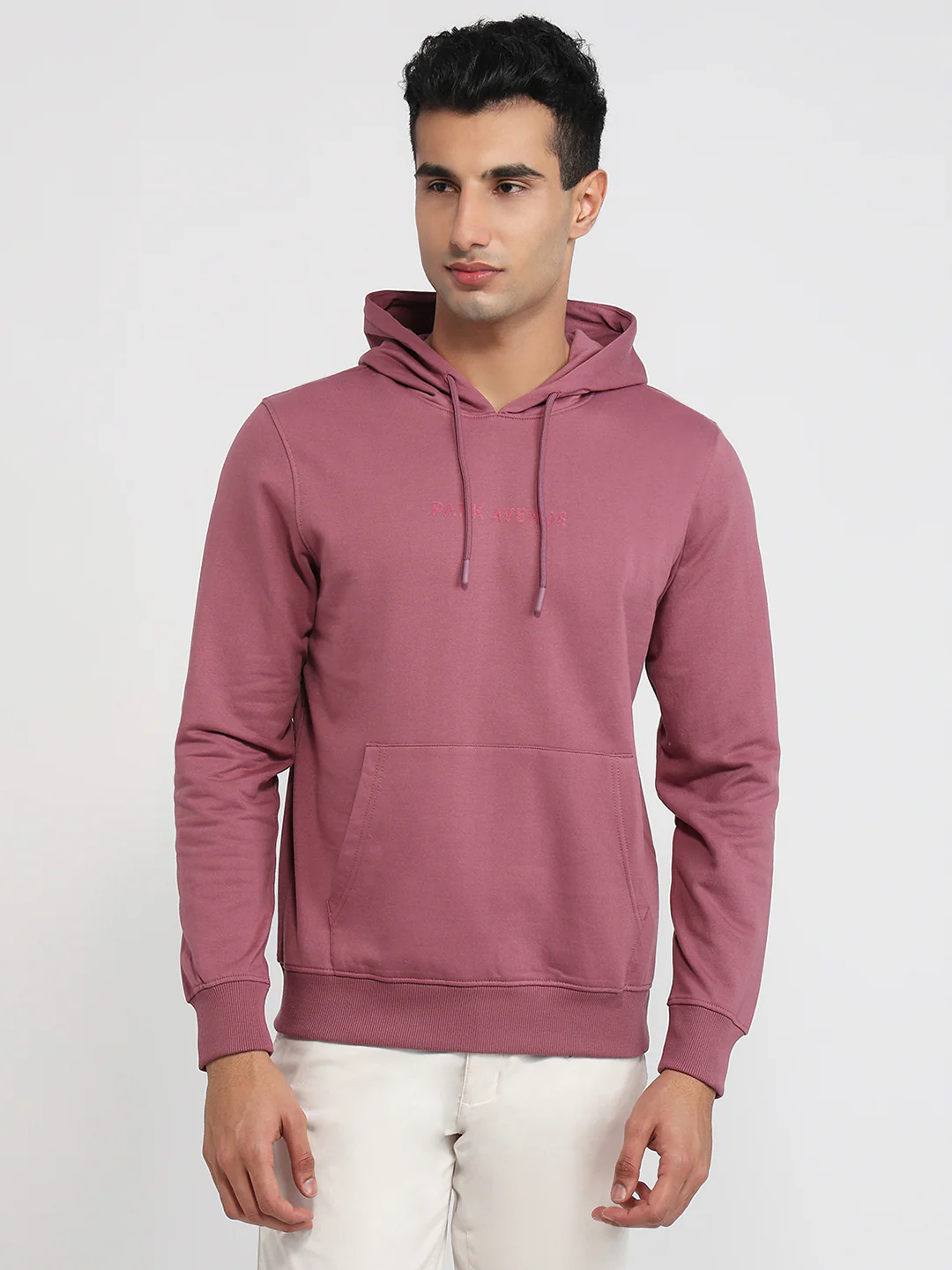 Park Avenue Men Purple Solid Slim Fit Cotton Blend Sweatshirt