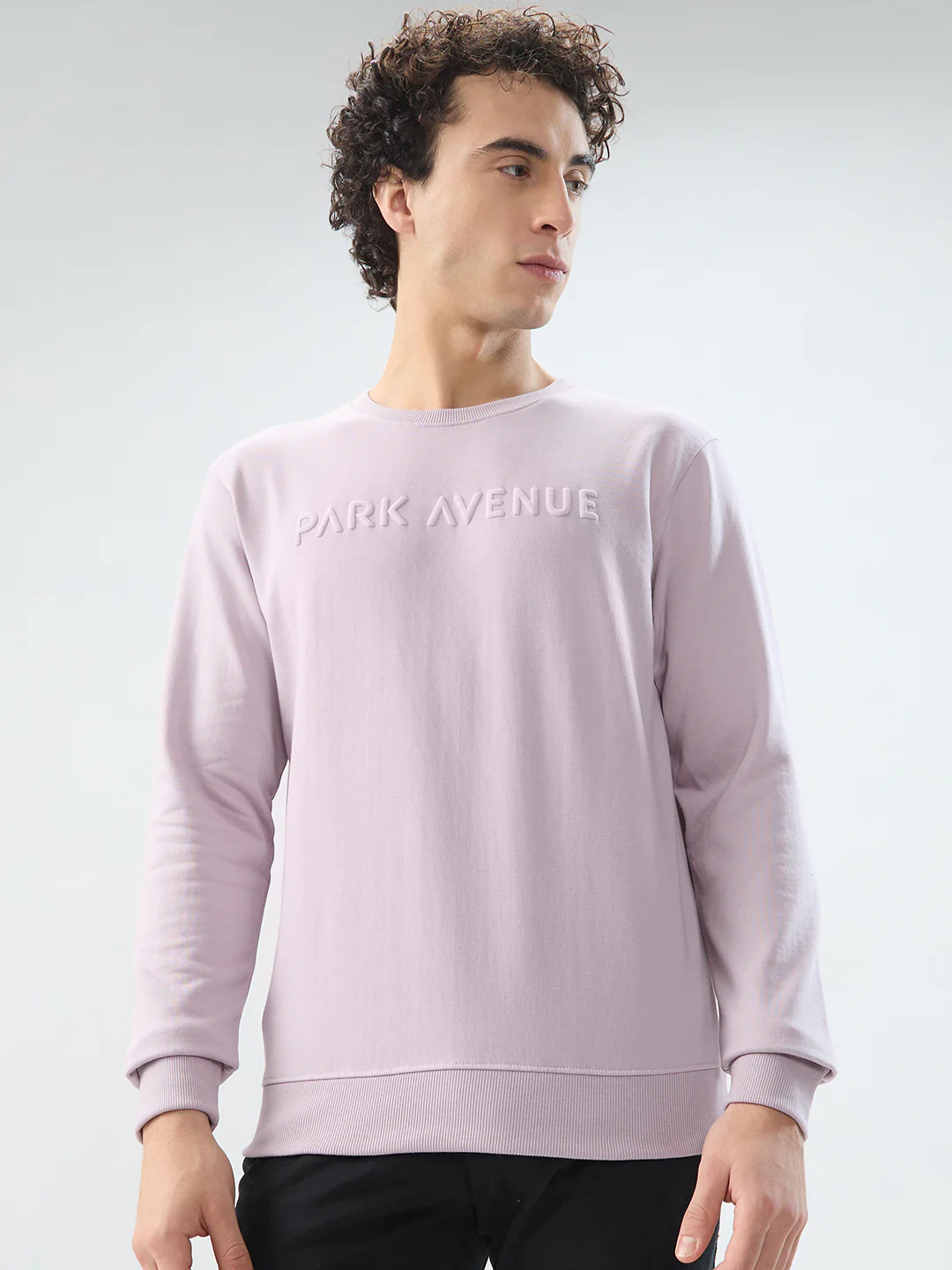 Park Avenue Men Purple Solid Slim Fit Cotton Blend Sweatshirt