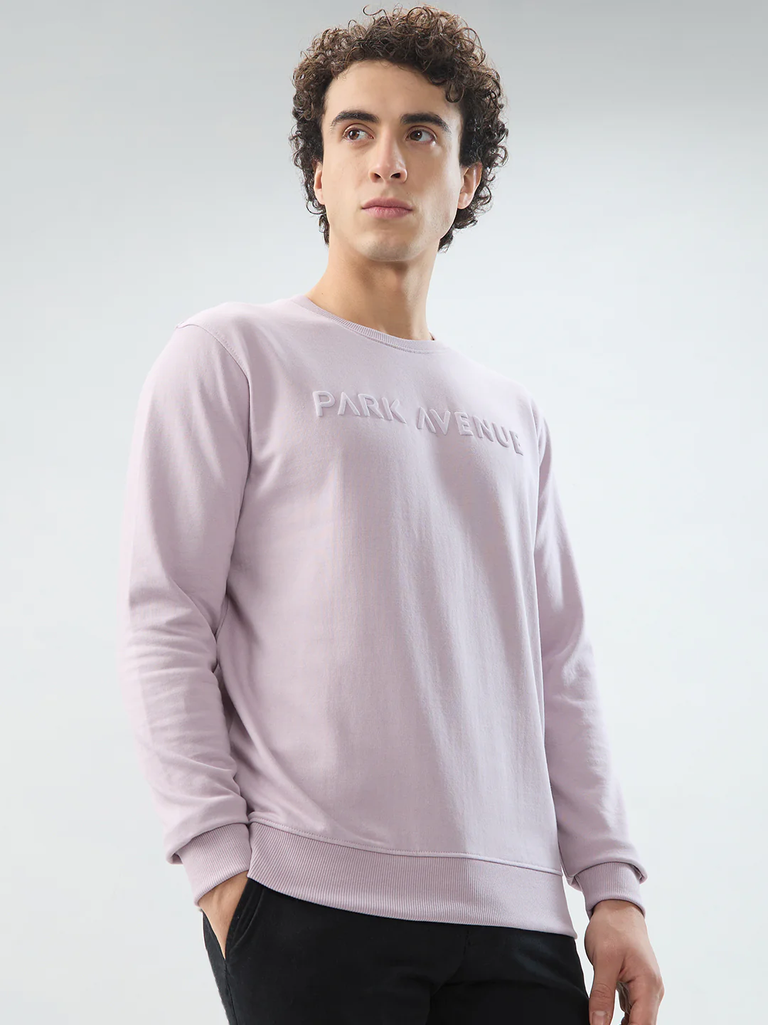 Park Avenue Men Purple Solid Slim Fit Cotton Blend Sweatshirt - Image 2