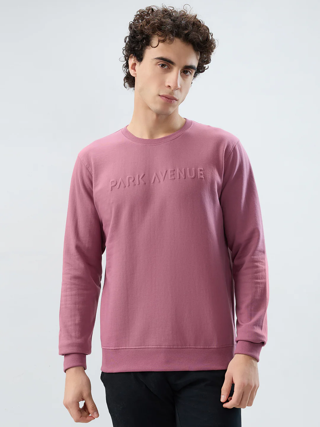 Park Avenue Men Purple Solid Slim Fit Cotton Blend Sweatshirt