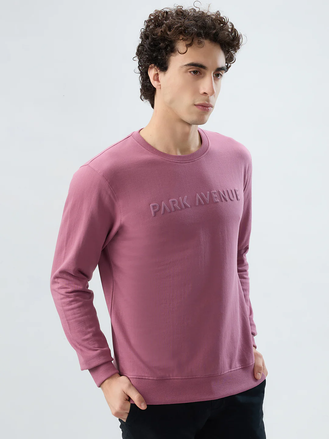 Park Avenue Men Purple Solid Slim Fit Cotton Blend Sweatshirt - Image 2