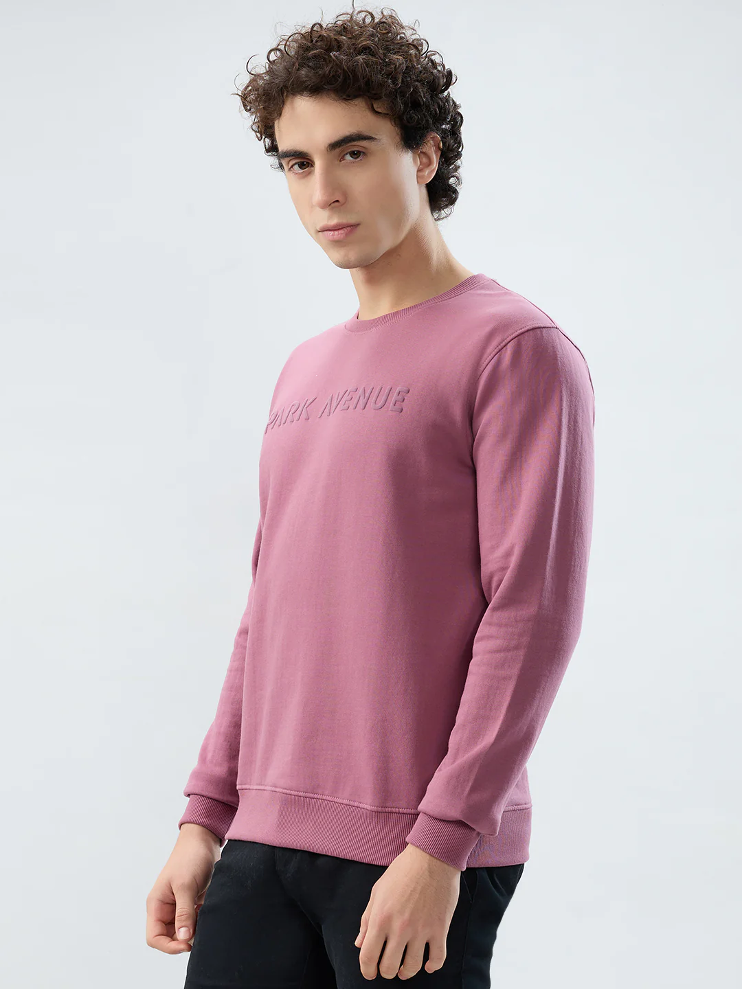 Park Avenue Men Purple Solid Slim Fit Cotton Blend Sweatshirt - Image 3