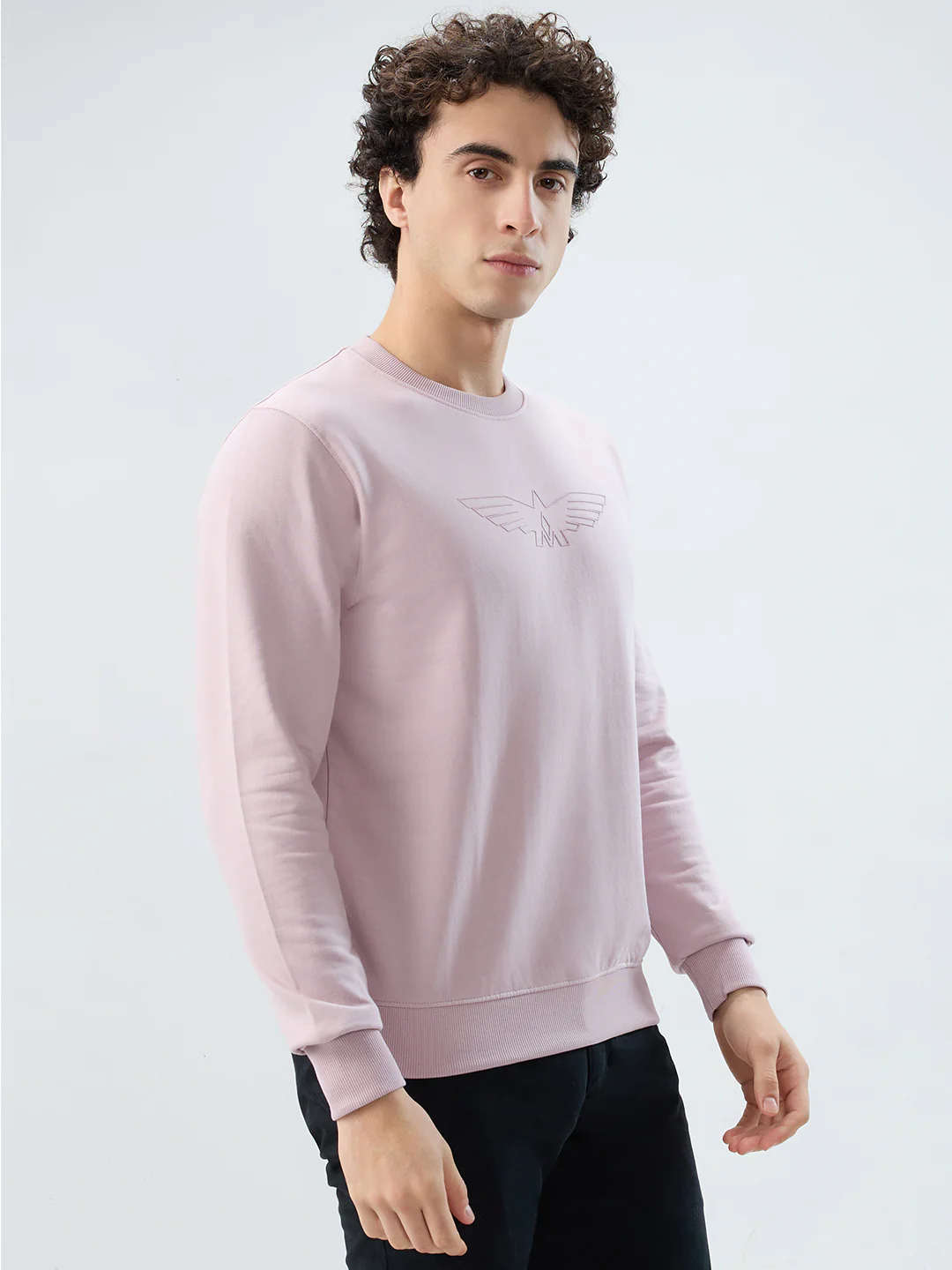 Park Avenue Men Purple Solid Slim Fit Cotton Blend Sweatshirt - Image 2