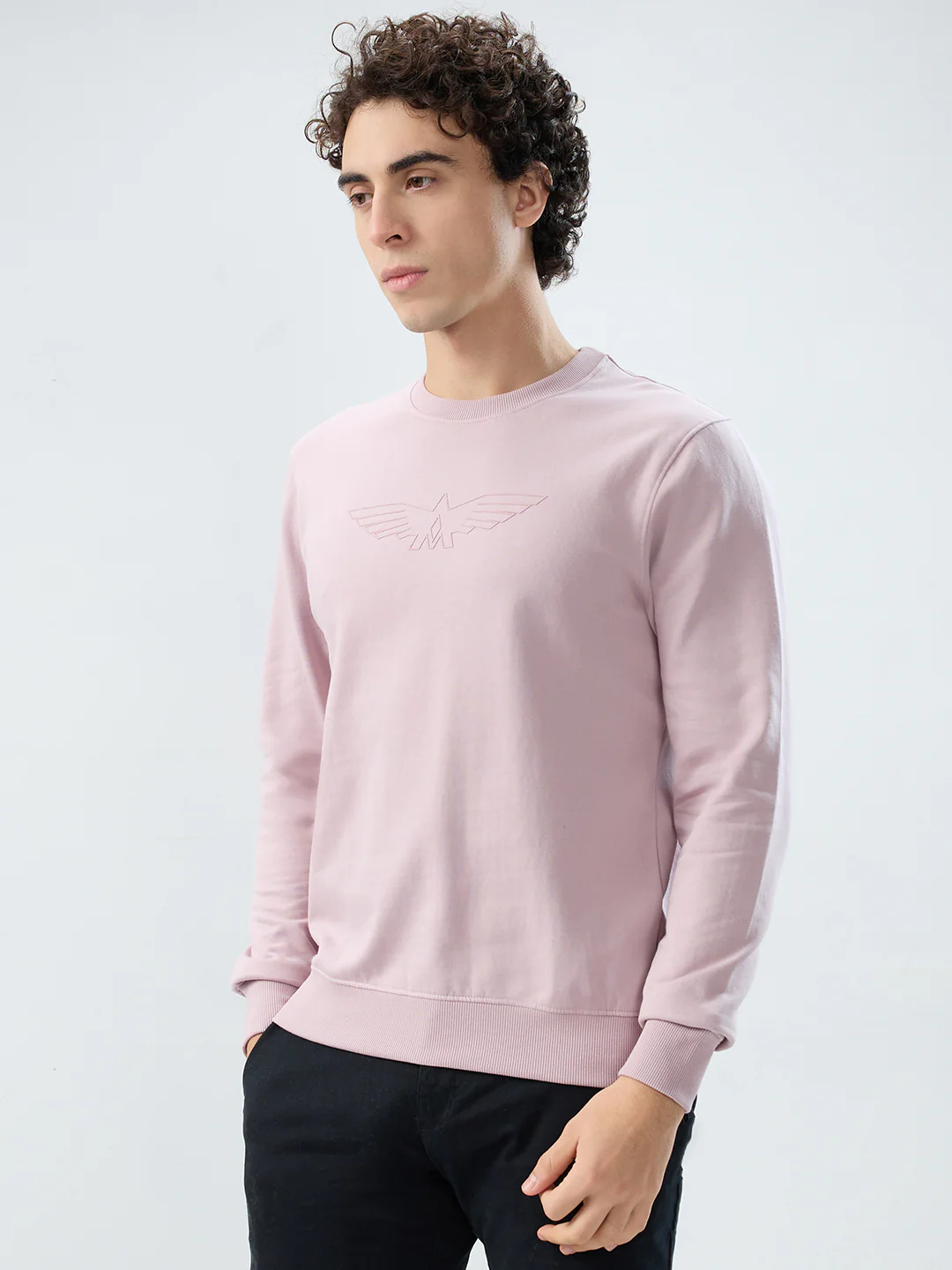 Park Avenue Men Purple Solid Slim Fit Cotton Blend Sweatshirt - Image 3
