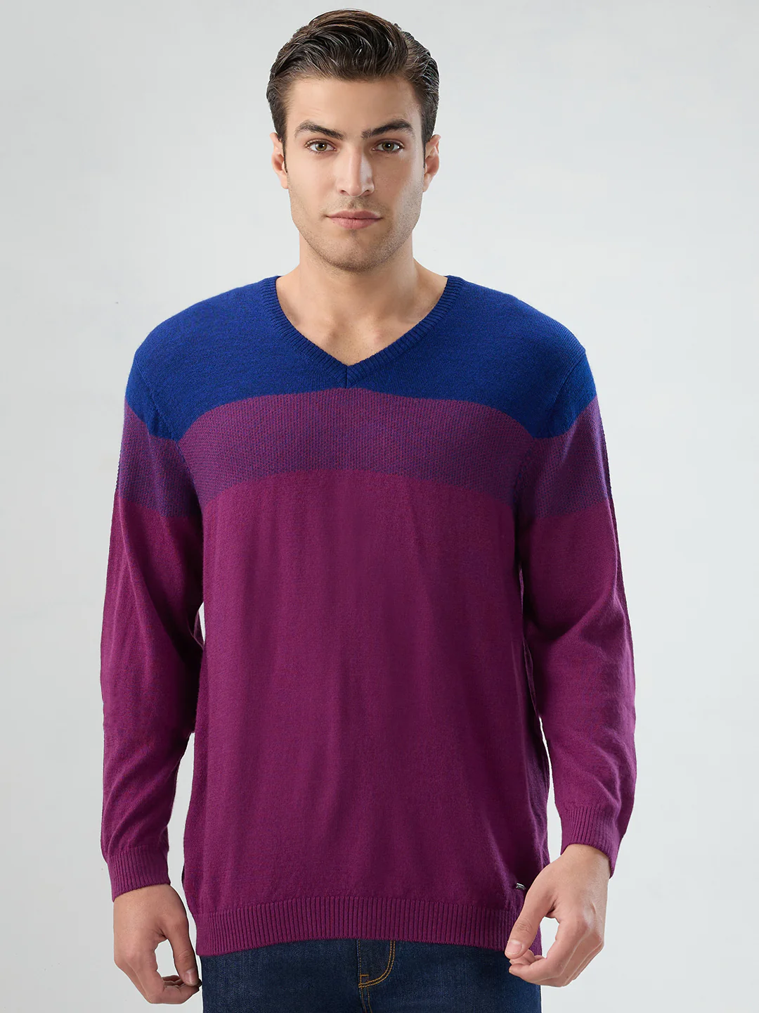 Park Avenue Men Purple Stripe Regular Fit Wool Blend Sweatshirt