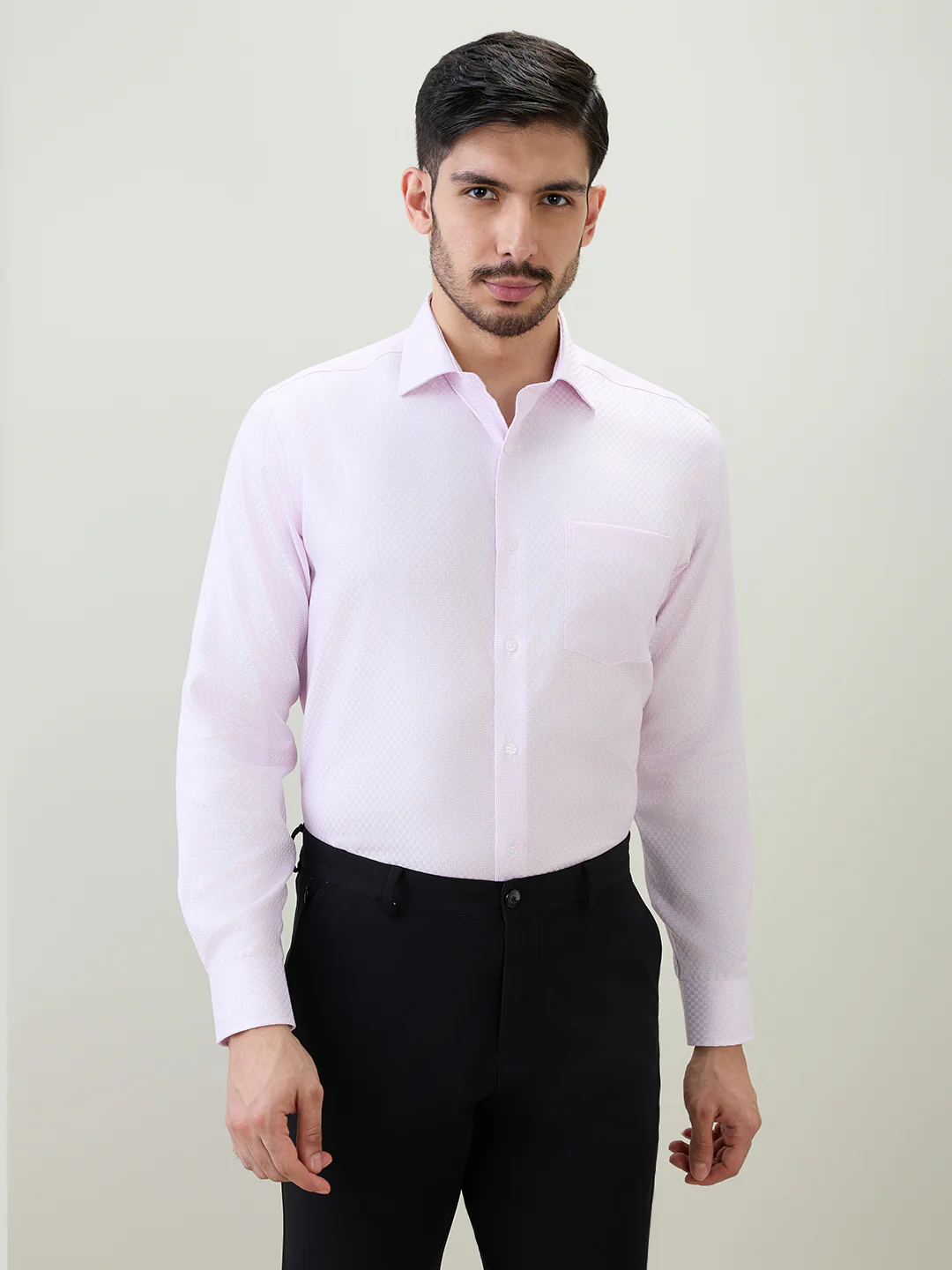 Park Avenue Men Purple Structure Regular Fit Cotton Formal Shirt