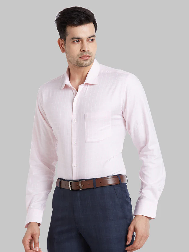 Park Avenue Men Pink Checkered Regular Fit Cotton Formal Shirt - Image 3
