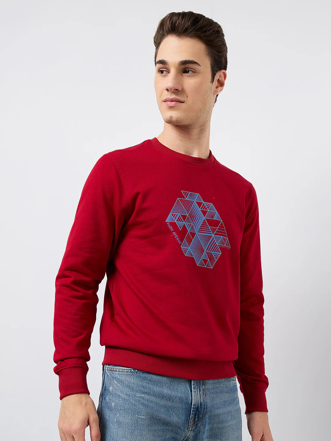 Park Avenue Men Red Printed Slim Fit Cotton Blend Round Neck Collar Sweatshirt - Image 2