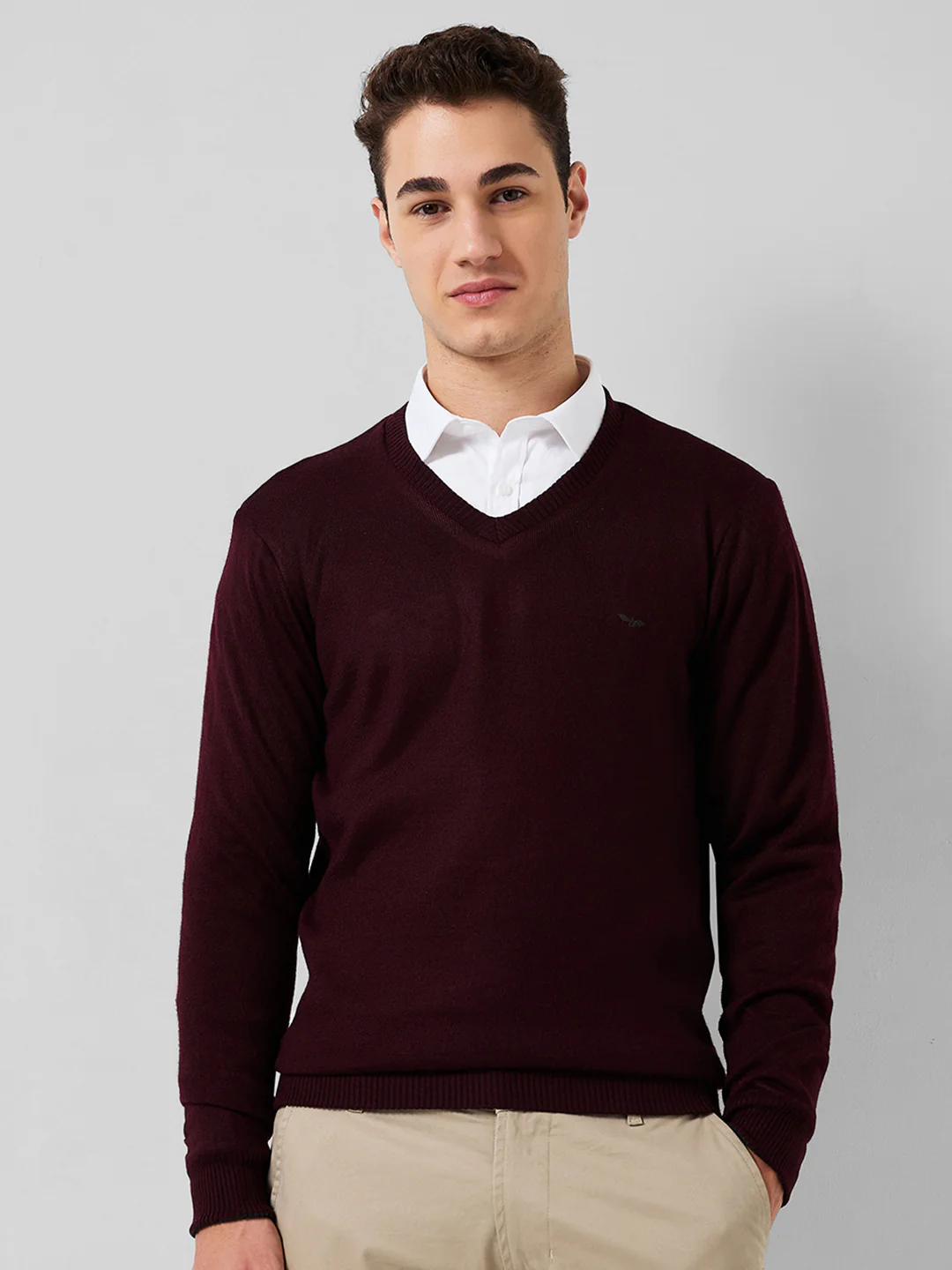 Park Avenue Men Red Solid Regular Fit Acrylic Blend Sweaters