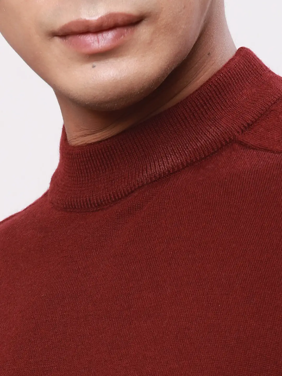 Park Avenue Men Red Solid Regular Wool Blend Full Sleeve Pullover - Image 6